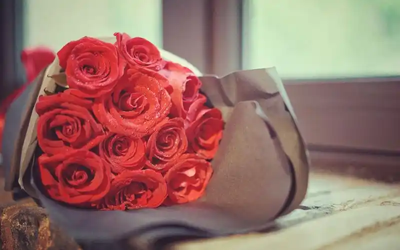 清新唯美植物花卉风景桌面壁纸高清大图预览1920x1080_风景壁纸下载