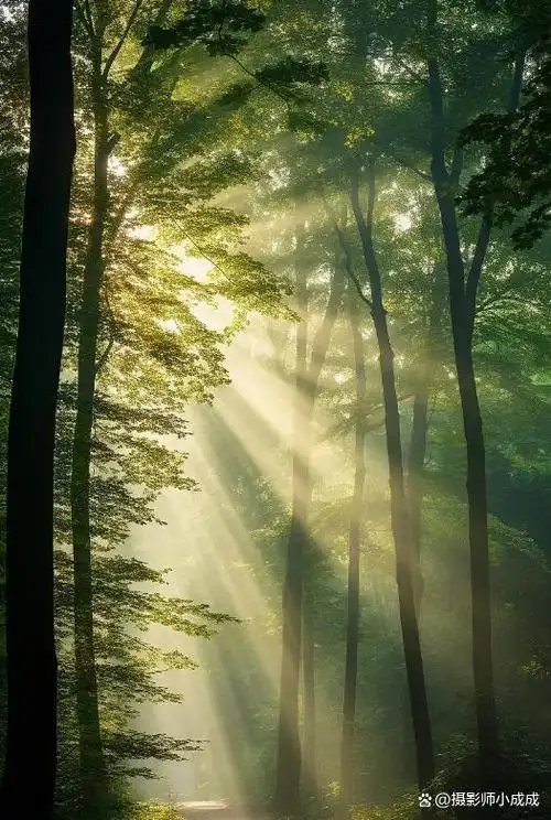 光圈作为摄影中的核心参数,对于调节照片的曝光,景深和艺术效果等方面