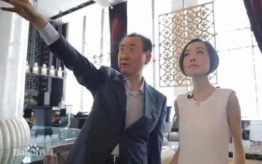 鲁豫大咖一日行王健林上下全集