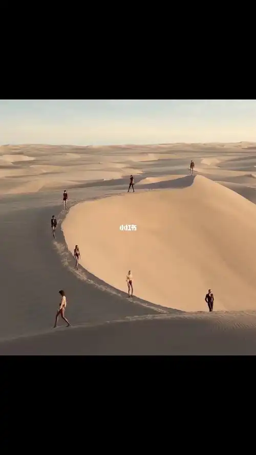 沙漠行走的时装秀saintlaurent圣罗兰