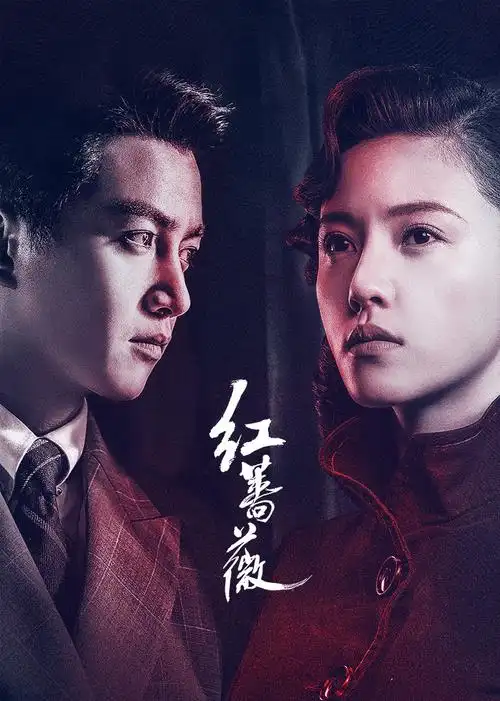 红蔷薇wildrose电视剧