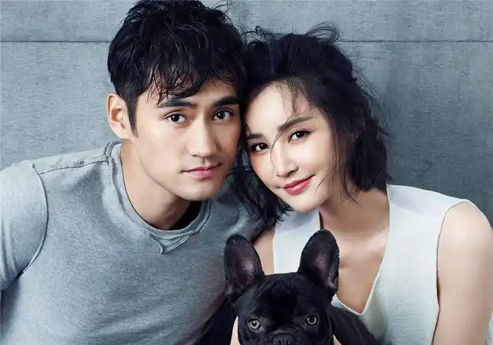 几年前,胡歌,彭于晏,马天宇,刘昊然这几个当红的,不同年龄,不同风格的