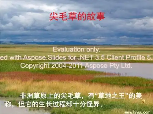 《尖毛草的故事.ppt