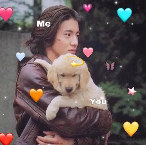 木村拓哉 头像 男头女头背景图