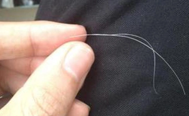 白头发可以拔吗?拔掉一根白发会根长十根?里面有什么奥秘?