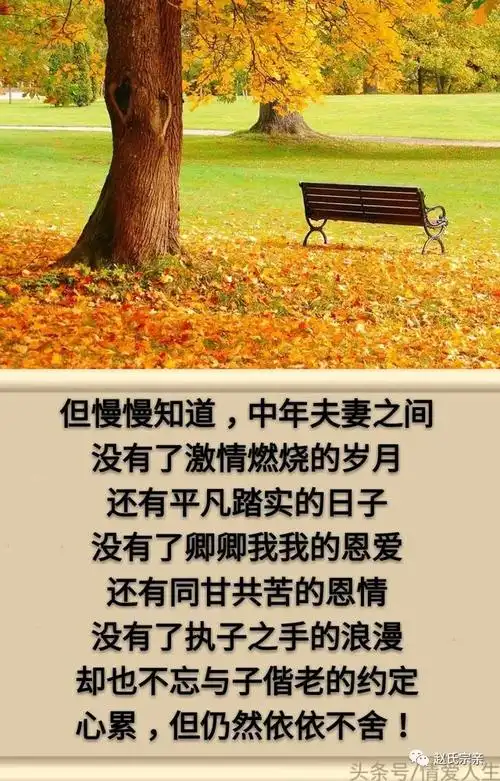 人生,有一种心累,它的名字叫:人到中年!「句句戳心」
