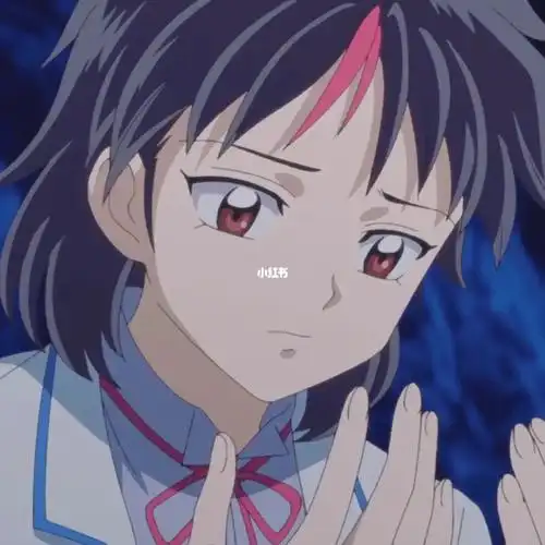 半妖的夜叉姬日暮永远朔夜的远姐好美0000