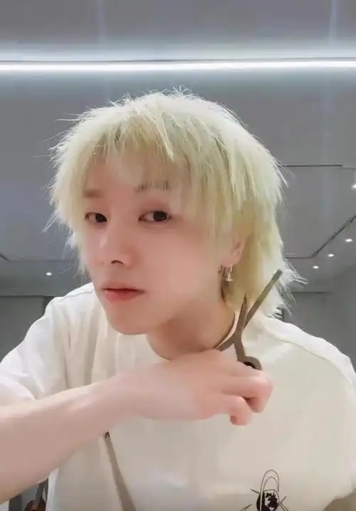 华晨宇晒寸头短发近照,剪去长发后清爽干练:"十辰于"回来了