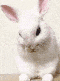 250_337竖版 竖屏gif 动态图 动图