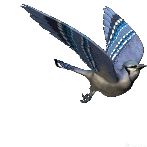 623_640gif 动态图 动图