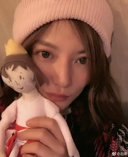 (图/翻摄自微博/赵薇)