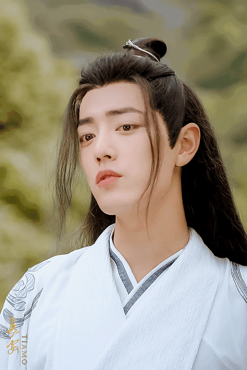 肖战##﻿肖战魏无羡