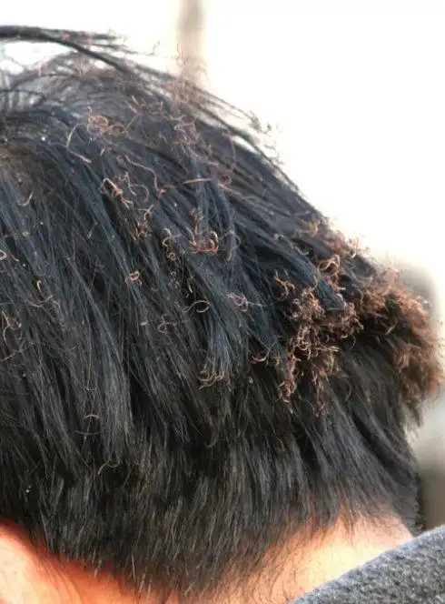 做饭时不小心把头发烧焦了,网友:对不起,请问是直接笑吗