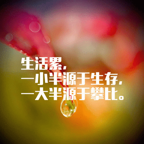 生活累一小半源于生存一大半源于攀比