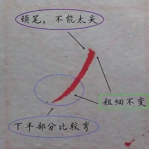 完整版硬笔书法基本笔画示意图