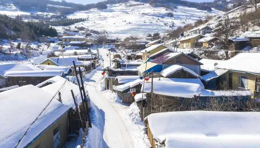黑土地上是我家在吉林一瞥中国东北乡村美丽未来