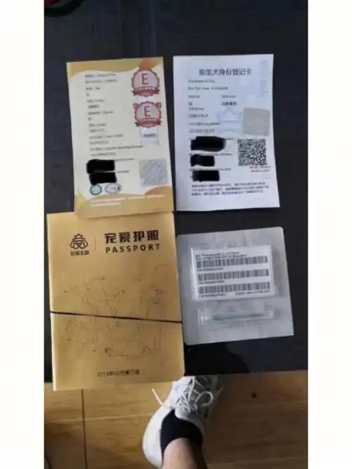 代办全犬种cku证书芯片cku鉴定证书