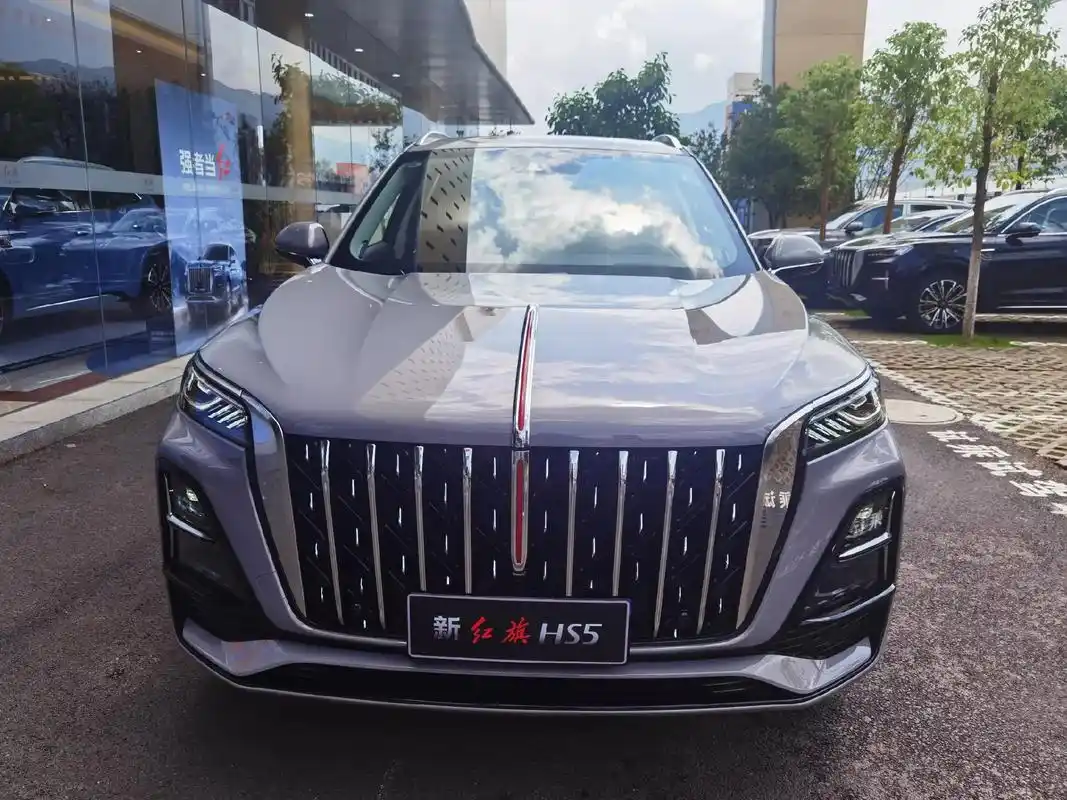 感谢双江的小伙伴选择 新红旗hs5 2.0t旗领版 艺术灰外 - 抖音