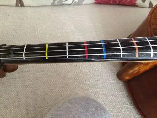 原装 美国dont fret 大提琴指板把位贴 指位贴标签