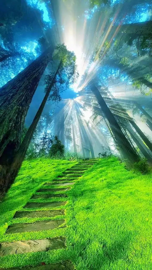 "#唯美意境 #治愈系风景