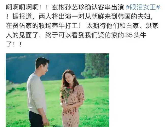 玄彬孙艺珍出演眼泪女王