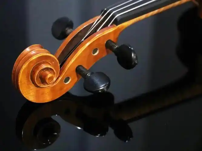 种草| 新手入门,初阶小提琴必备款(1)