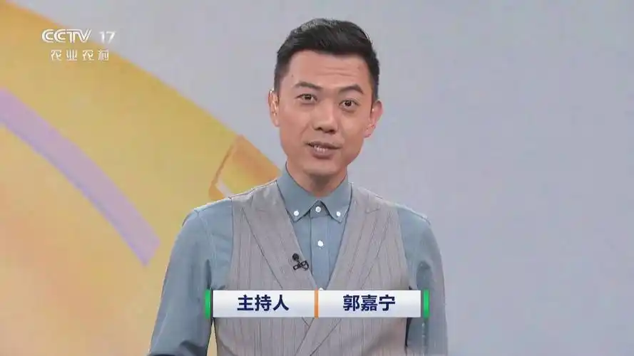 央视cctv17主持人,整体颜值大幅提升,4朵金花都有潜力成为门面_频道