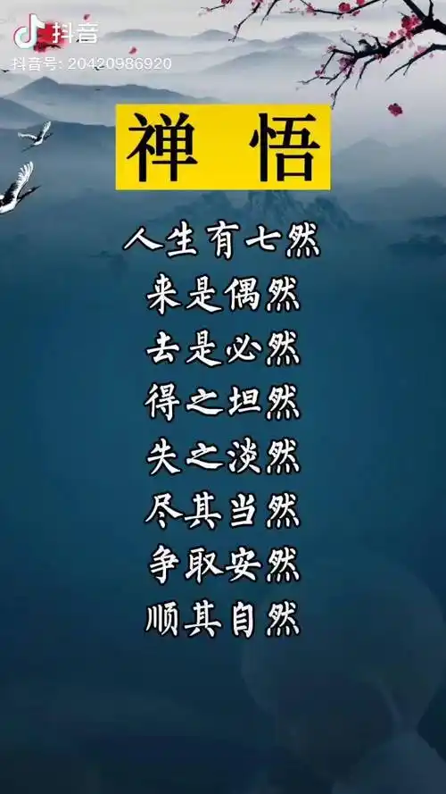 禅悟人生人生感悟修心修行