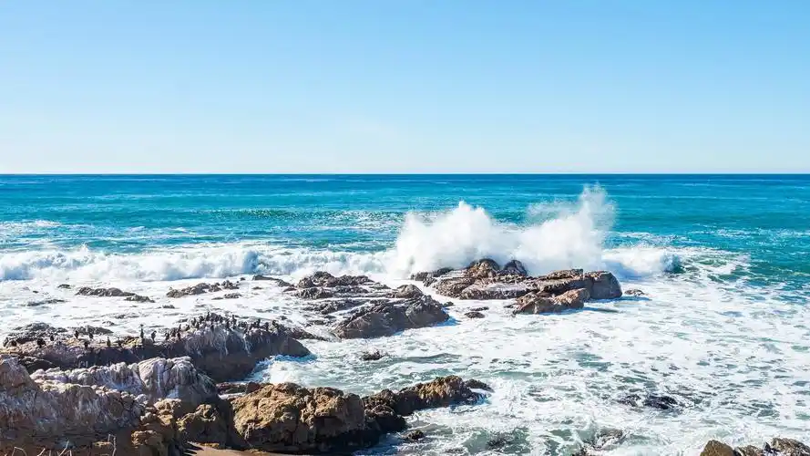 电脑桌面壁纸 by:ariel_阿恬(侵权删)