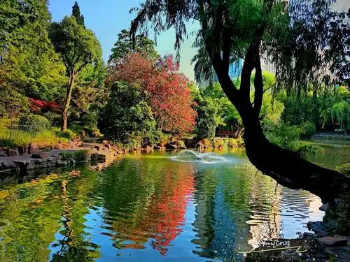 上海"长风公园"风景篇(手机视觉一hasu lens镜头 huawel)