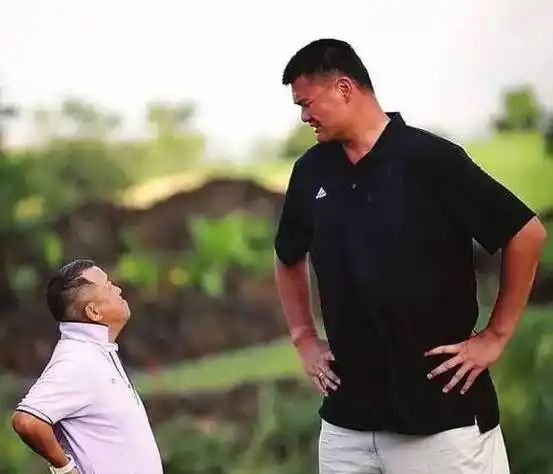 别人站着都够不到肩,唯独杨幂最聪明_高晓松_身高_孩子