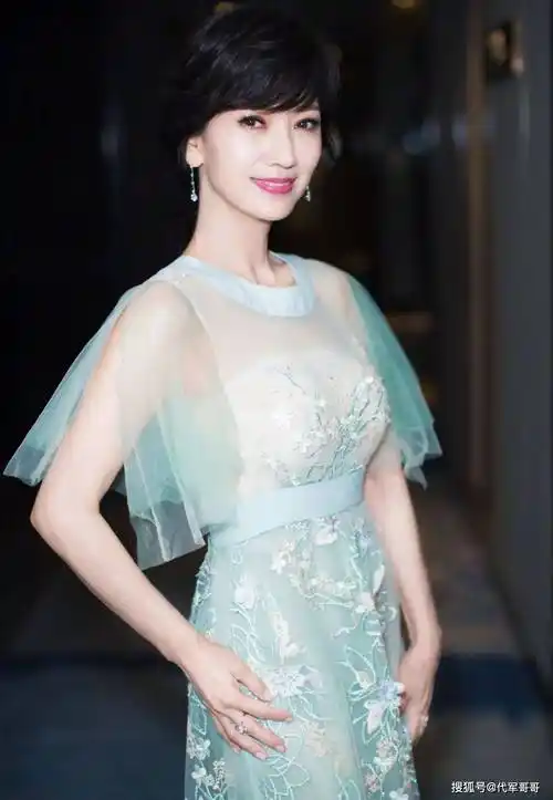 赵雅芝在1973年取得了首届香港小姐比赛的第四名成绩.