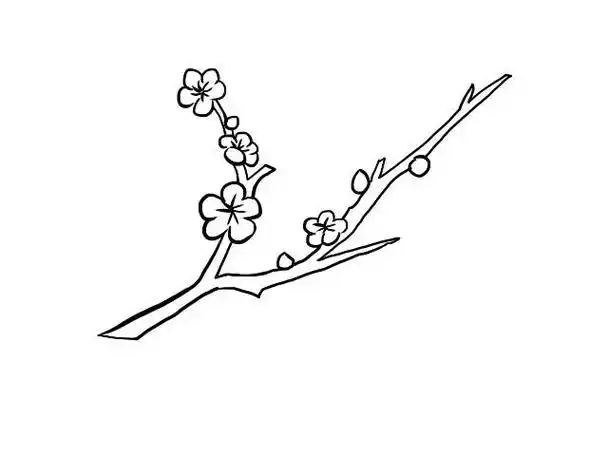 画铅笔画a3梅花3简笔画梅花怎么画梅花的画法简笔画图片素描冬天梅花