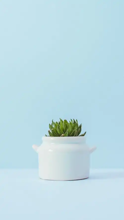 炎炎夏日,简约冷淡风爱壁纸平铺锁屏可爱小清新