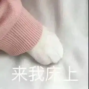 撩男朋友表情包50张又污又可爱情侣表情包