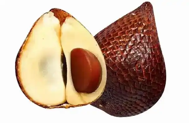 这应该是绝大多数人闻所未闻的九大奇特水果(东南亚水果有哪些图片)