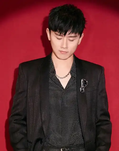 每天认识一个男艺人6张杰