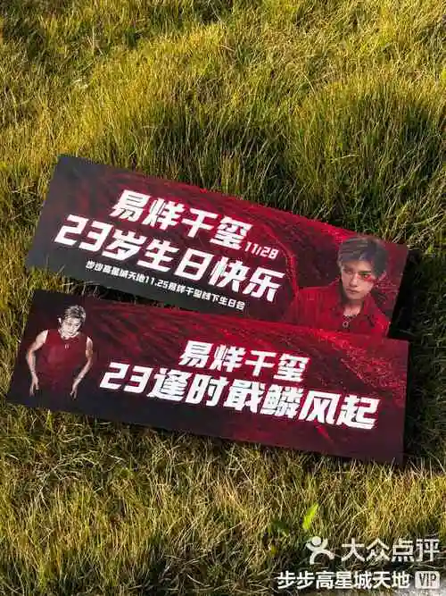 是谁拿到了易烊千玺生日应援手幅