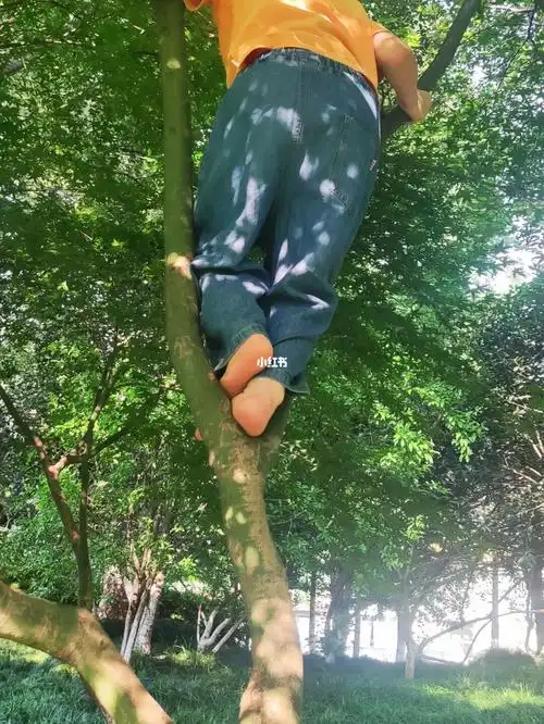 300个,晚上户外加游泳,还是觉得孩子运动量不够,暑期计划一周爬山三次