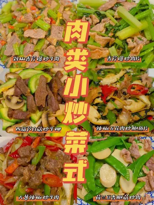 666道家常快手菜肉类小炒一周做菜不重样