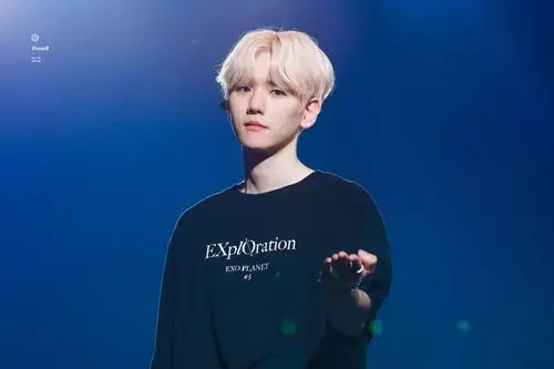 边伯贤 - 堆糖,美图壁纸兴趣社区