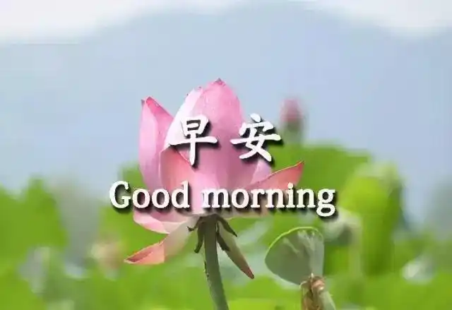 特别漂亮的早上好优美祝福语图片带字周四早晨问好图片大全_网易订阅