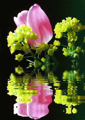 我的南方和北方