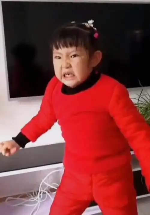 表情,五官被紧急调集到了一起,眉毛竖起,眼睛发出愤怒的光芒,咬牙切齿