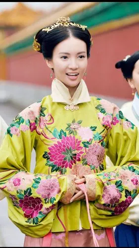 女医明妃传金晨