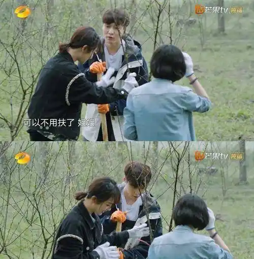 张艺兴_杨紫_俩人