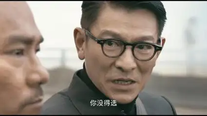 刘德华最新动作电影《潜行》4