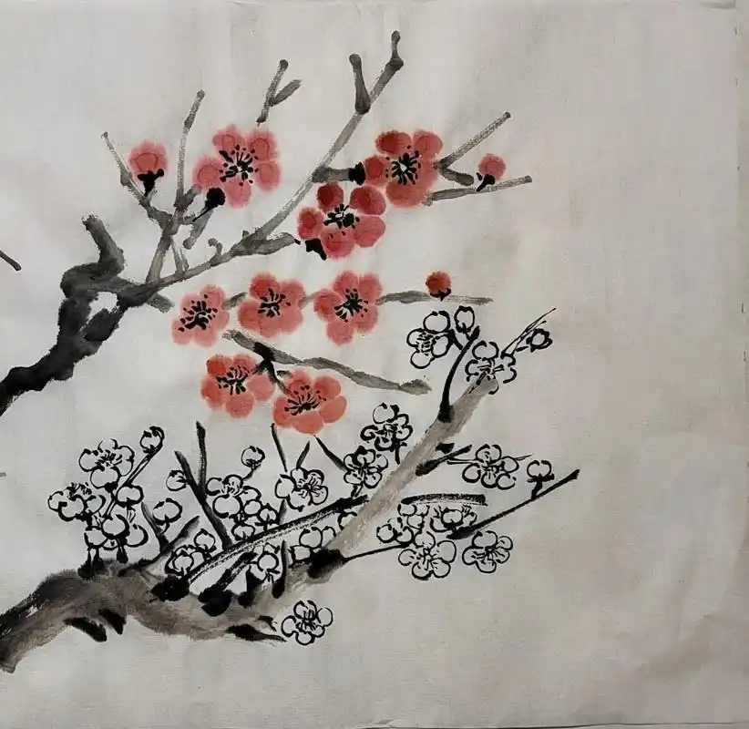 国画 #带你走进画里 #一起学画画 #一花一草一世界 #白 - 抖音