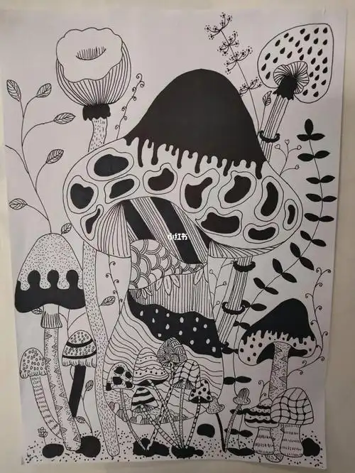 5针管笔#线描  #手绘  #黑白画  #画画的日常  #画画  #画个简笔画