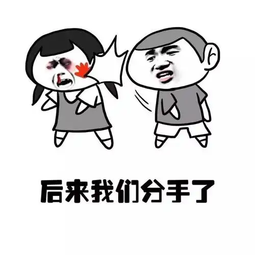 后来我们分手了 - 斗图表情包 - 爱逗图